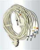 Bionet 10 Der,ECG Cable per CardioCare 2000 e CardioTouch 3000,Compatibile
